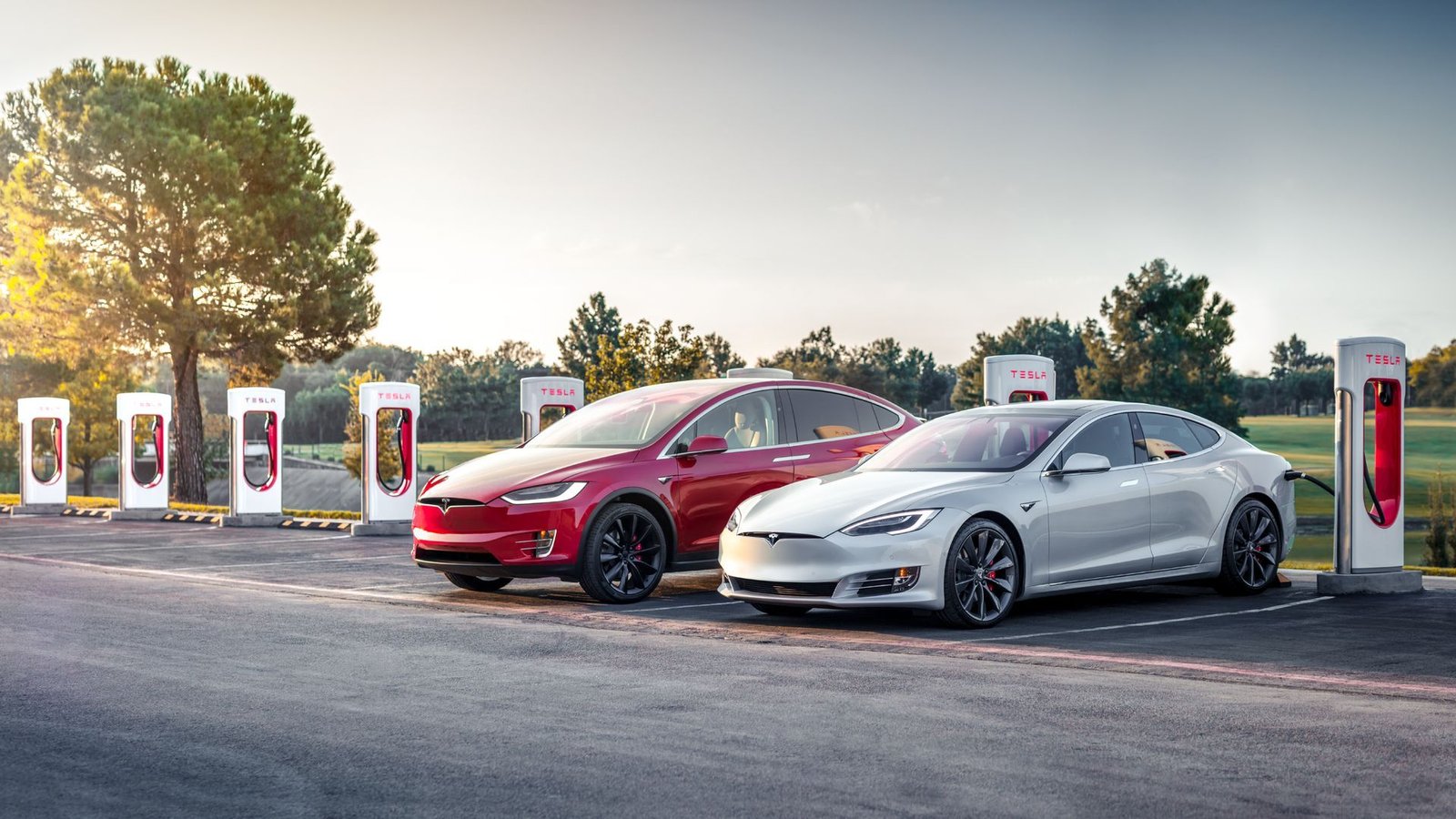 Tesla ev